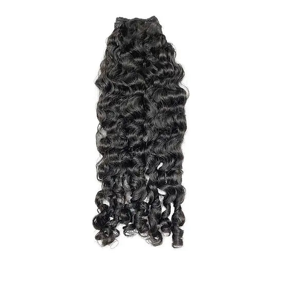 Burmese Curly